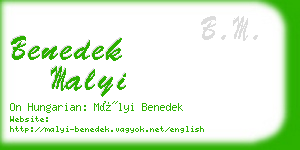 benedek malyi business card